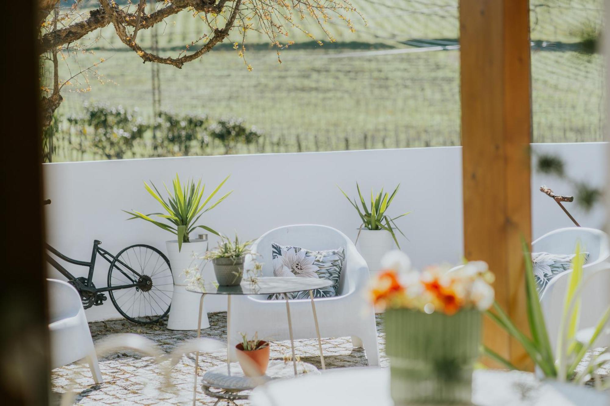 Farm stay Casa Relogio De Sol Lamego